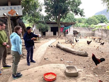 1 Day Ninh Binh Guided Tour from Hanoi by Limousine (Group of 9)