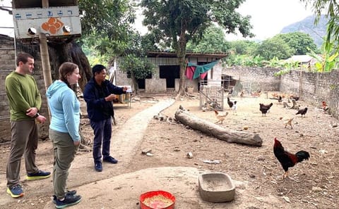 Guided Ninh Binh Adventure Tour from Hanoi by Limousine