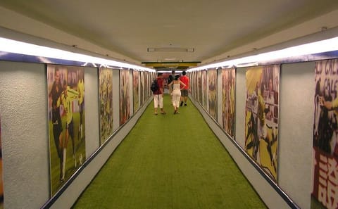Guided Tour of Maracana Stadium in Rio de Janeiro