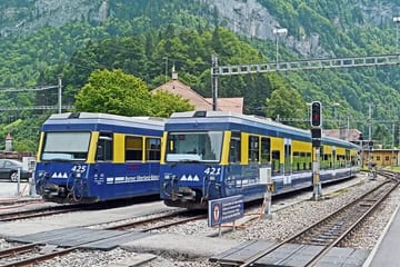 Guided Walking Tour of Grindelwald's Village and Scenic Views