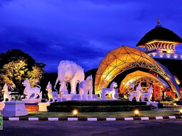 Night Safari