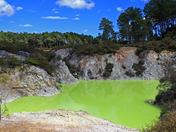 Private Day Tour of Wai-O-Tapu and Huka Falls from Auckland