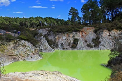 Auckland: ONE WAY TRIP to ROTORUA via Wai O Tapu, Redwood Forest and Rotorua Central Hotels Drop-off