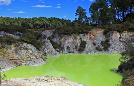 Private Day Tour of Wai-O-Tapu and Huka Falls from Auckland