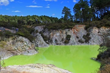 One-Way Tour from Auckland to Rotorua with Scenic Stops