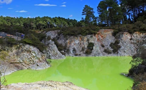 Private Day Tour of Wai-O-Tapu and Huka Falls from Auckland