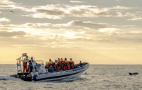 Akureyri Express Whales in the Midnight Sun 1