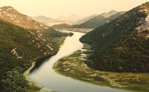 Skadar Lake and Crnojevića River Boat Tour in Montenegro