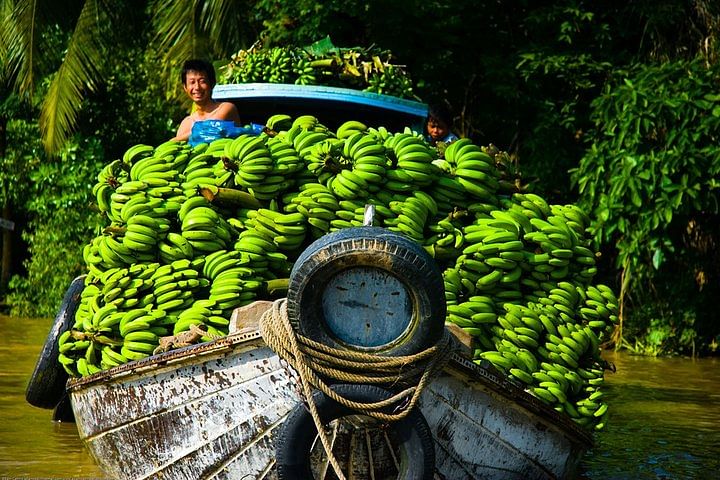 My Tho Boat Trip & Cai Rang Floating Market Adventure in Mekong Delta