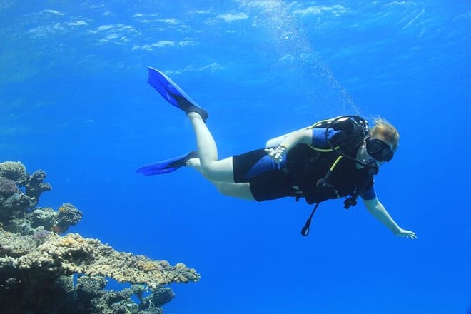 Snorkeling Sea Trip &amp; Diving Adventure with Lunch - Marsa Alam