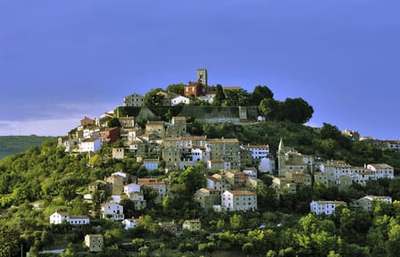 Truffle Hunting Experience in Poreč and Motovun, Croatia