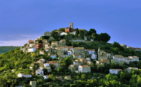 Truffle Hunting Experience in Poreč and Motovun, Croatia