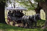 Buenos Aires Super Saver: City Tour, Gaucho Day at a Farm & Tango Dinner-Show 5