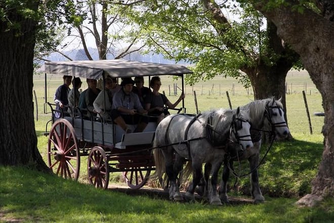 Buenos Aires Super Saver: City Tour, Gaucho Day at a Farm & Tango Dinner-Show photo 5