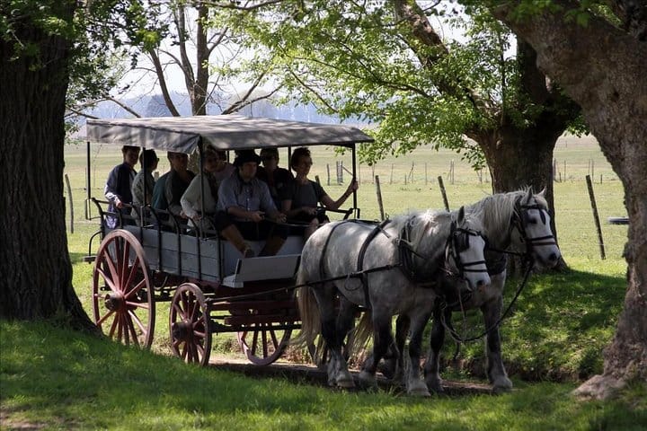 Buenos Aires Super Saver: City Tour, Gaucho Day at a Farm & Tango Dinner-Show 5