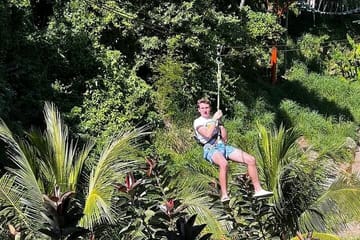 Jungle top Zipline Suspension Bridges, Monkeys and Sloth Hangout