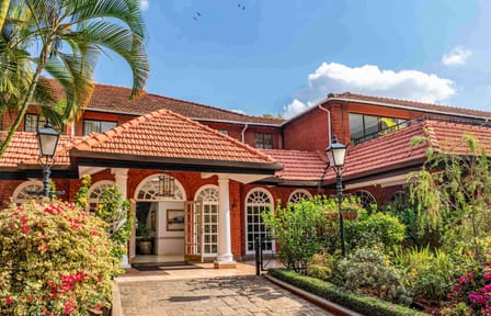Luxury 8-Day Safari Adventure in Nairobi, Kenya
