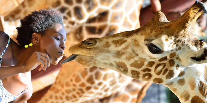 Giraffe Center Half-Day Trip from Nairobi photo 3