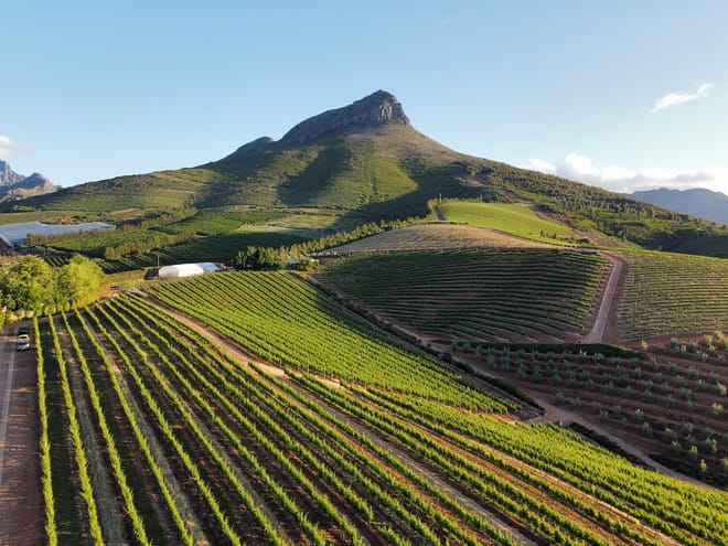 Best of Cape Town 2
