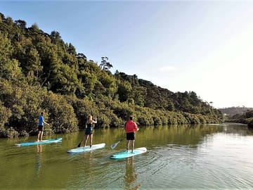 Stand-Up Paddle Boarding Tour to Lucas Creek Waterfall in Auckland
