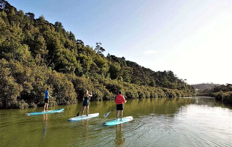 2-Hour Stand-Up Paddle Boarding Tour to Lucas Creek Waterfall