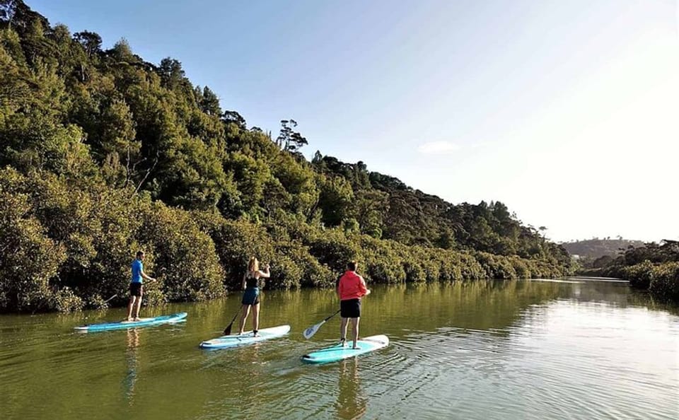 Stand-Up Paddle Boarding Tour to Lucas Creek Waterfall in Auckland