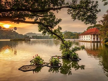 Kandy-Private-Day-Tour-from-Colombo_Negombo_1