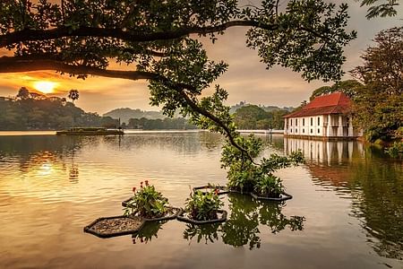 Kandy Day Tour: Explore the Temple of the Tooth & Royal Botanical Garden