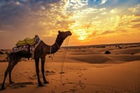 4-Day Private Desert Tour from Fes To Marrakech 8