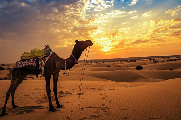 4-Day Private Desert Tour from Fes To Marrakech 8