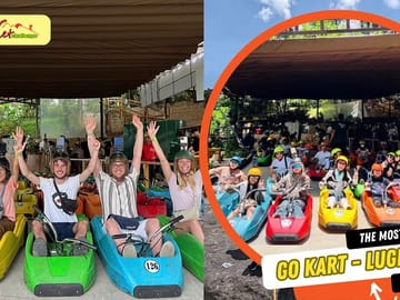 Dalat Adventure Tour: Alpine Coaster, Crazy House & More