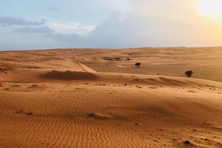 Private Day Trip to Grand Mosque & Wahiba Sands  7