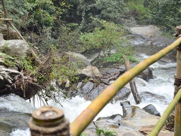 Morning Hiking Doi Inthanon+Pachor The grand canyon
