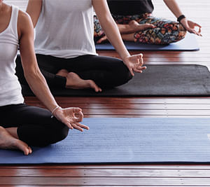 Yoga Fundamentals Workshop