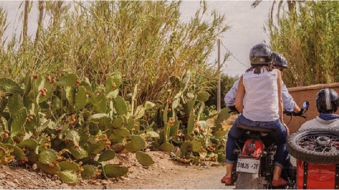 ½ Day : Desert Ride on Vintage Sidecar Moto | Private & Luxury	 2