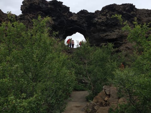 Lake Myvatn Day Tour (from Lake Myvatn), photo 3