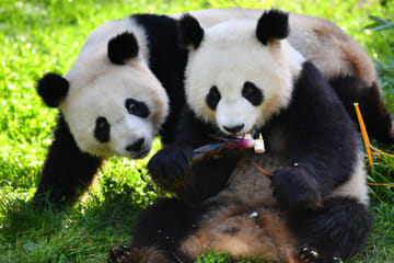 Boutique 2-Day Beijing Private Tour: Best of Beijing