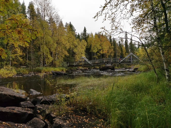 Hiking tour to Vaattunkiköngäs 5