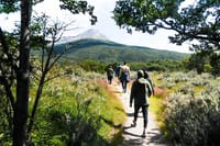Half-Day Small-Group Tierra del Fuego National Park Tour 8