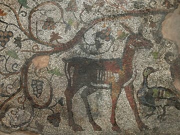 Archaeological tour-From the Neolithic to Modern times in Augusta Trayana