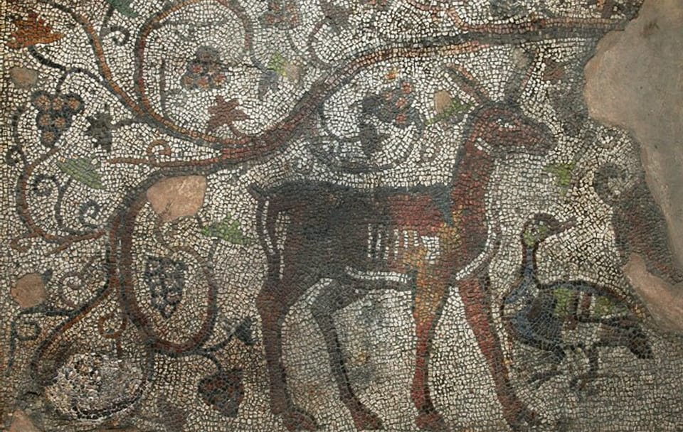 Archaeological Tour of Augusta Trayana's Historic Sites