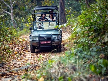 Pokhara, Dhampus Village, and Chitwan National Park Tour