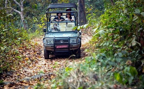Pokhara, Dhampus Village, and Chitwan National Park Tour