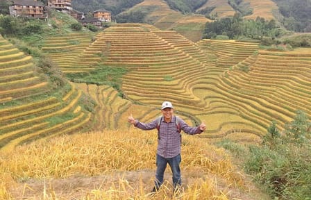 Longji Rice Terraces and Pingan Village Day Tour