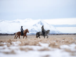 2,5h Trail Ride for Intermediate Riders, photo 6