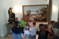 São Paulo 5-hour Private Tour – Most Important Sights – Optional Airport Pickup	 3