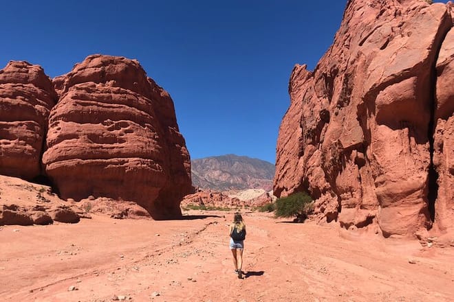 Cafayate, Vineyards and Calchaquies Valleys Tour from Salta 5