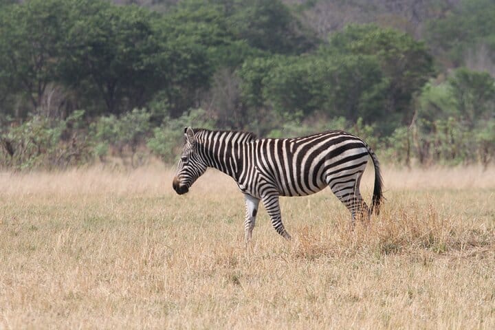 15 minutes scenic helicopter flight above Victoria Falls-Zimbabwe