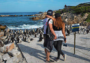 Cape of Good Hope and Cape Point Private Tour