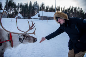VISIT TO A TRADITIONAL REINDEER FARM + 400m SLEIGH RIDE